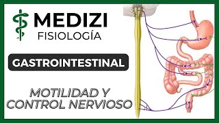 Clase 43 Fisiología Gastrointestinal  Motilidad y Control Nervioso IGdoctorpaiva [upl. by Muller826]