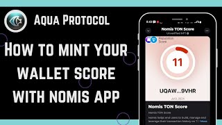 How To Mint Your Wallet Score With Nomis App For Aqua Protocol [upl. by Cori925]