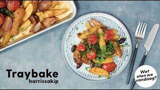 Traybake kip met harissa  Recept  Allerhande [upl. by Nirrek532]