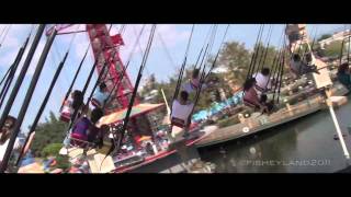 California Screamin  Silly Symphony Swings  Golden Zephyr 1080p [upl. by Ludwog]