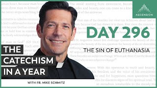 Day 296 The Sin of Euthanasia — The Catechism in a Year with Fr Mike Schmitz [upl. by Dlareme969]