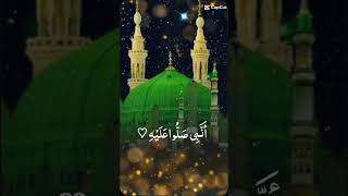 Naat Al Nabi salo alaiviralvideo youtubeshorts [upl. by Yrtnej]