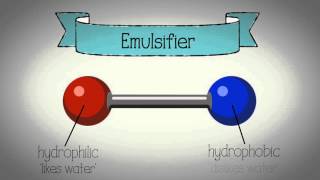 Emulsification animation  WJEC Eduqas GCSE Food Preparation and Nutrition [upl. by Sucramrej]