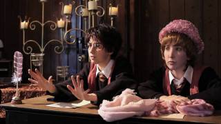 Harry Potter and The Order of Umbridge by The Hillywood Show® [upl. by Becka306]