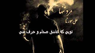 Ali Sorena  Gharibe Nisti LYRICS on SCREEN [upl. by Ardnuhsed]