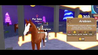 Chestnut Rabicano Arabian For Sale for Cheap  Wild Horse Islands  ROBLOX [upl. by Niwrek902]