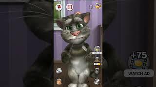 Mew cat video [upl. by Shear489]