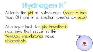 Inorganic Ions  Quick A Level Biology Revision [upl. by Aicnetroh]