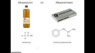 Functionele Groepen [upl. by Herrod]