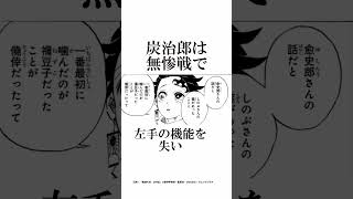 意外と知らない鬼滅の刃の作画ミスに関する面白い雑学part2二選【鬼滅の刃】雑学鬼滅の刃柱稽古編 [upl. by Fiore]