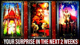 THE NEXT 2 WEEKS⭐️ WHAT SURPRISE IS AWAITING YOU⭐️ Pick a cardstar sign TAROT reading [upl. by Ahtibbat871]