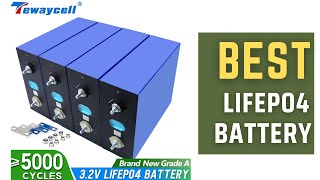 Best Lifepo4 Battery  Tewaycell NEW 310Ah 280Ah 230Ah 200Ah Lifepo4 Battery Pack Review [upl. by Georg]