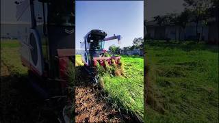 mini combine harvester 😱😱 shorts harvester agriculture [upl. by Novaat506]