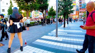 Ochanomizu in Tokyo 🐶🍻 A town that plays music ♪ 4K ASMR Nonstop 1 hour 02 minutes [upl. by Zipah]