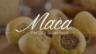 Maca  Fertility Superfood  Fertility Maca [upl. by Stoneham]