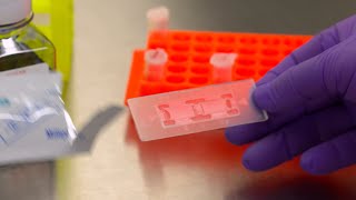 How to use a Hemocytometer for Tissue Culture Cell Counting [upl. by Dranyar440]