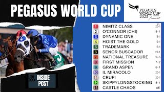 Pegasus World Cup Race Predictions and Best Bets [upl. by Turk]