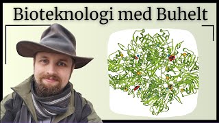 Bioteknologi  Proteiner og enzymer [upl. by Hannad964]