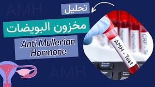 12تحليل مخزون البويضات anti mullerian hormone AMH [upl. by Marvel]