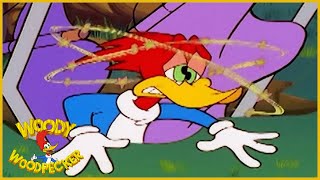 Woody Woodpecker Show  Pecking Order  1 Hour Compilation  Cartoons For Children [upl. by Bondon834]