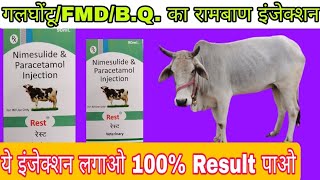 Nimesulide Paracetamol Vet Injection  Rest injection use for veterinary [upl. by Leehar]