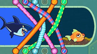 save the fish  pull the pin updated all levels save fish game pull the pin androidiosmobile game [upl. by Elleon]