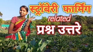 Answers related Strawberry farming Mahabaleshwar 🍓 शेती निगडीत सर्व उत्तरे शेतकरी video organic [upl. by Ecadnak]