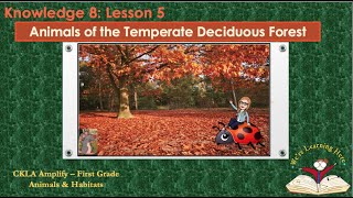 Knowledge 8 Ls 5 Temperate Deciduous Forest [upl. by Reames]