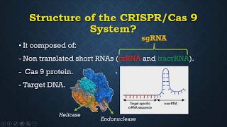 CRISPRCas 9 [upl. by Carmencita130]