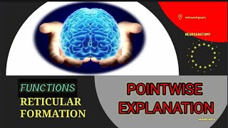 RETICULAR FORMATION  Part 22 [upl. by Donovan]