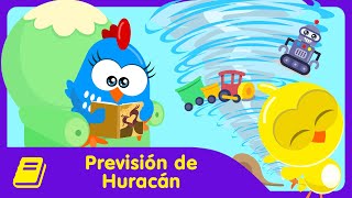 Gallina Pintadita Mini  Historieta  Previsión de Huracán [upl. by Brunhild]