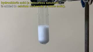 Hydrochloric acid is added to Calcium carbonate [upl. by Kolosick]