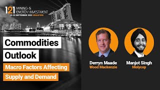 Commodities Outlook Panel  Wood Mackenzie Molycop [upl. by Gurango337]