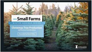 How to Start Your Own Christmas Tree Farm [upl. by Adaliah]