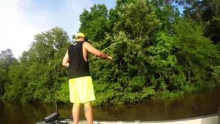 Quick afternoon trip bass fishing on the Calcasieu river [upl. by Sairu]