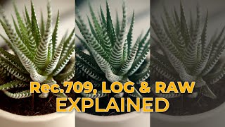 Rec709 LOG amp RAW Explained  Visual Verse [upl. by Eimareg]