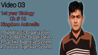 Diploblastic And Triploblastic Organization Sac like Digestive system VS Tubular Digestives system [upl. by Etoile]