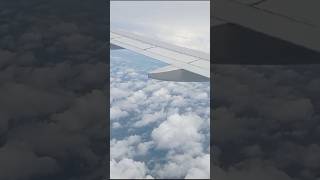 Travel by air 2024 travel air youtubeshorts [upl. by Gamin350]