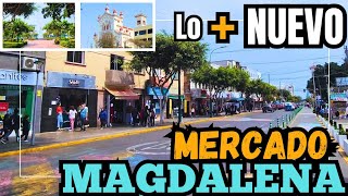 Lo MÁS NUEVO en el MERCADO Magdalena del Mar en Lima Perú 2024 [upl. by Nasus888]