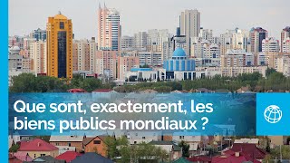 Que sont exactement les biens publics mondiaux [upl. by Lennod]