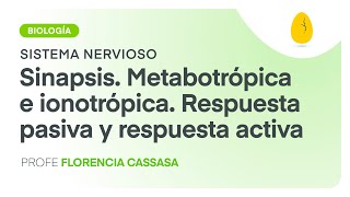 Sinapsis Metabotrópica e ionotrópica Respuesta pasiva y activa  V8  Egg Educación [upl. by Naujtna]