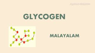 GLYCOGEN  POLYSACCHARIDES  CARBOHYDRATES  MALAYALAM [upl. by Allicirp886]