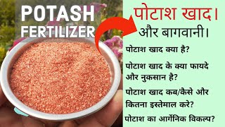 Potash Fertilizer क्या है Potash कब कितना और कैसे इस्तेमाल करे अपने पौधों पर Potash खाद के फायदे। [upl. by Odetta800]