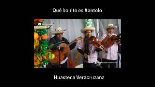 Así disfrutamos Xantolo en la Huasteca Veracruzana [upl. by Larianna]