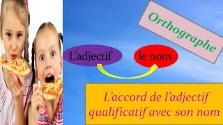 Projet 01 Séqu 02 Orthographe L’accord de l’adjectif qual avec son nom 1 AM  2ème génération [upl. by Daraj952]