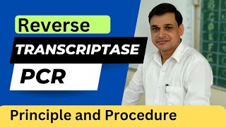 Reverse Transcriptase PCR  its principle and procedure Animation [upl. by Enileoj]