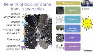 Using Biochar to Remediate Mining Pollution [upl. by Assert578]