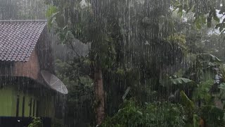 Stop overthinking and sleep instantly with heavy rain thunderstorm sounds for sleeping 1 hour rural [upl. by Ellah990]