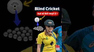 Blind Cricket cricket cricketshorts Cricket Highlights [upl. by Gilbertina]