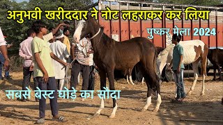 पंचकल्याण घोड़े की सौदेबाजी  pushkar mela 2024  live horse deal [upl. by Ardnac]